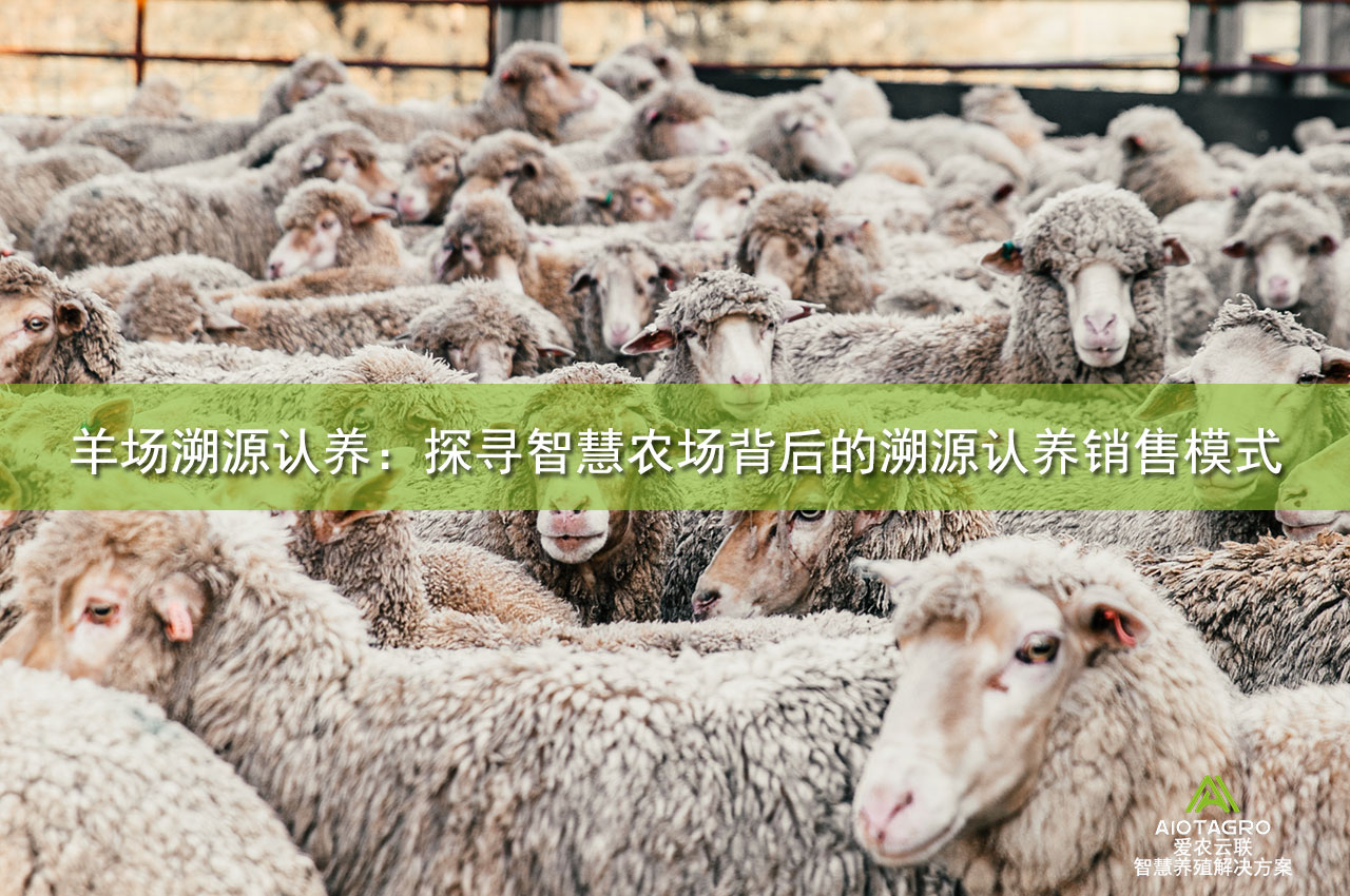 羊场溯源认养：探寻智慧农场背后的溯源认养销售模式