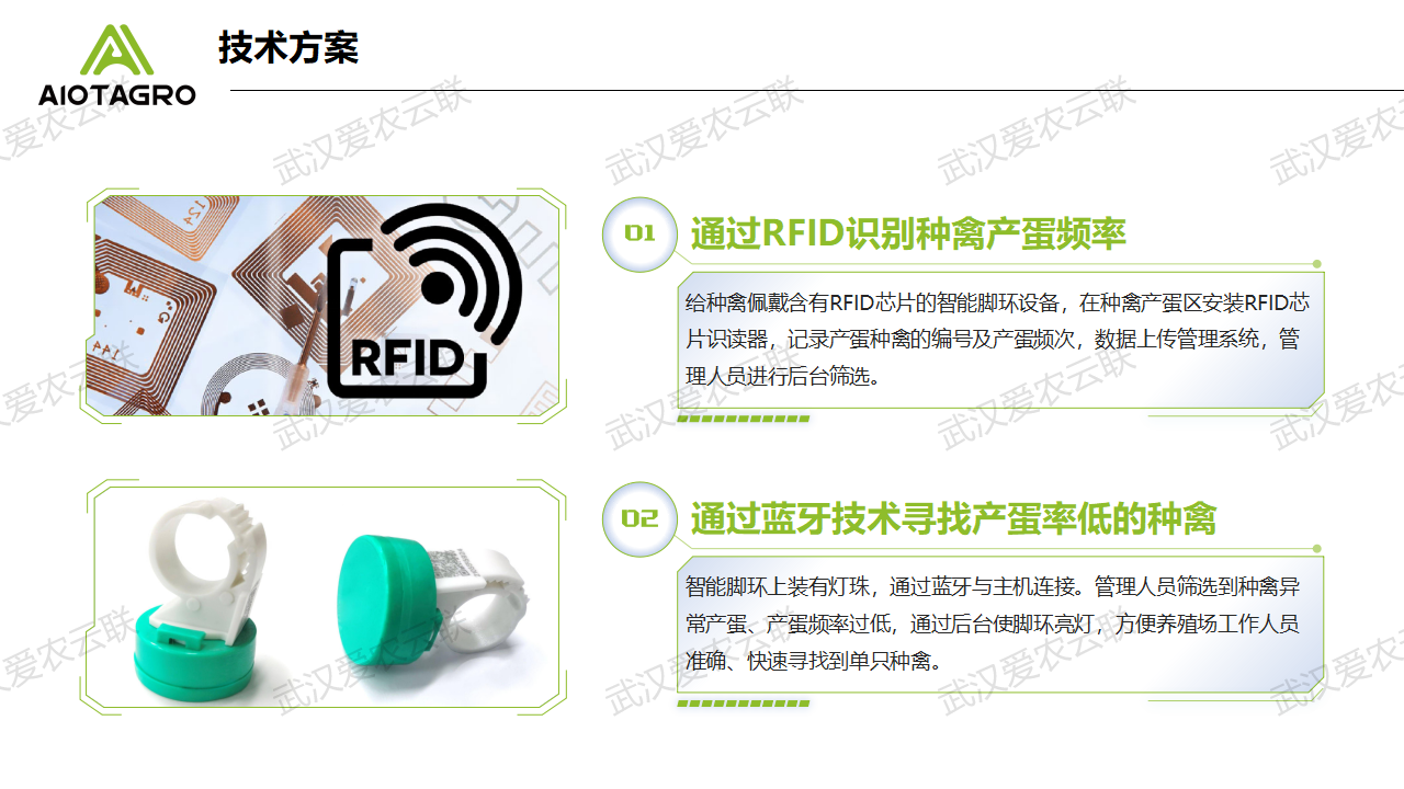 规模化养殖鸡鸭鹅如何提高产蛋率-异常产蛋率识别解决方案