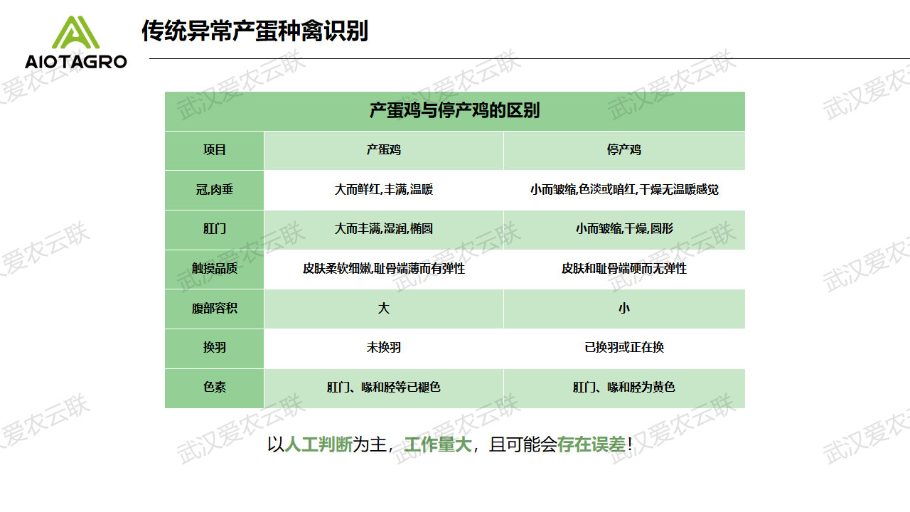 爱农云联鸡鸭鹅家禽养殖产蛋率监测识别解决方案