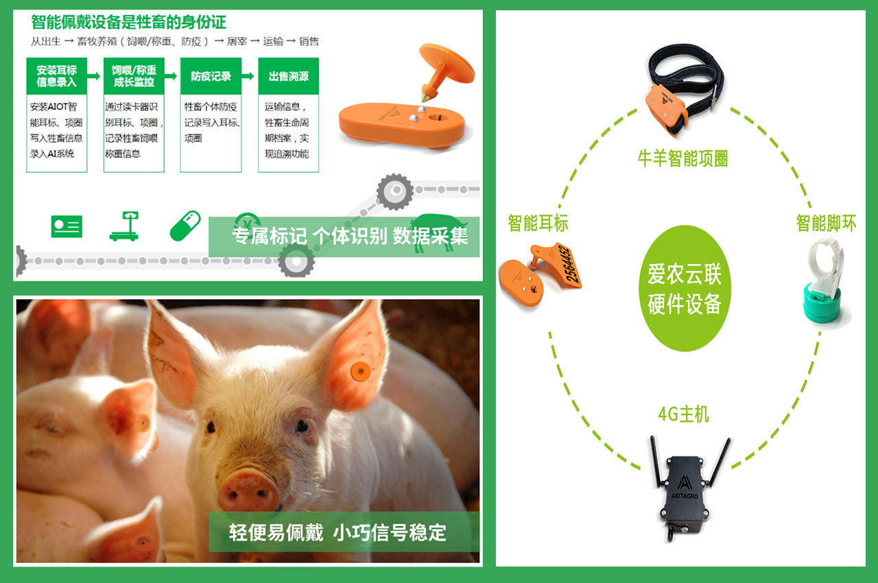 智慧养猪管理系统：智能化生产，助力养猪场高效管理