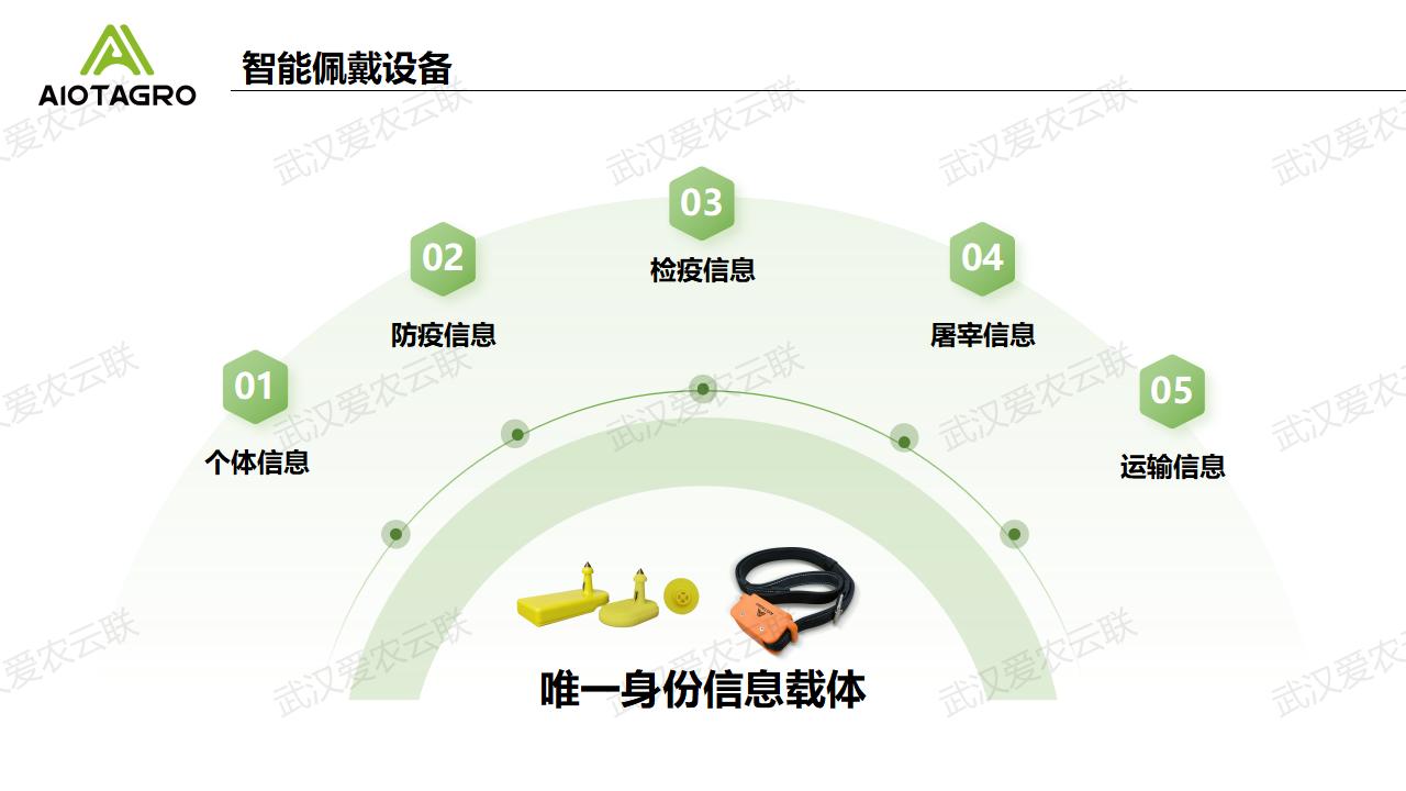 智慧屠宰：溯源技术引领屠宰行业的智能化变革